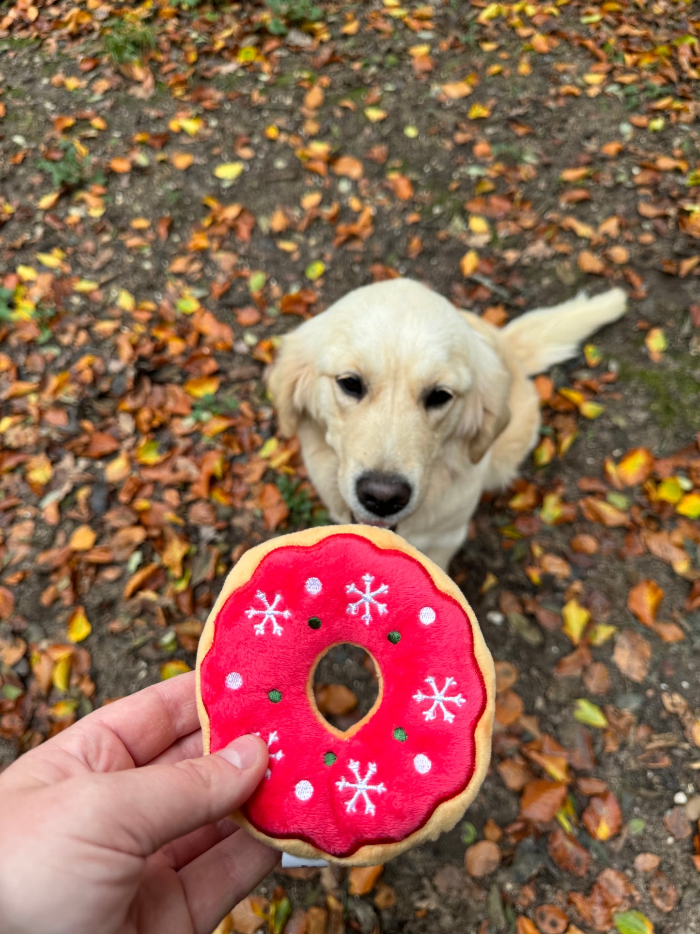 Red Donut dog toy