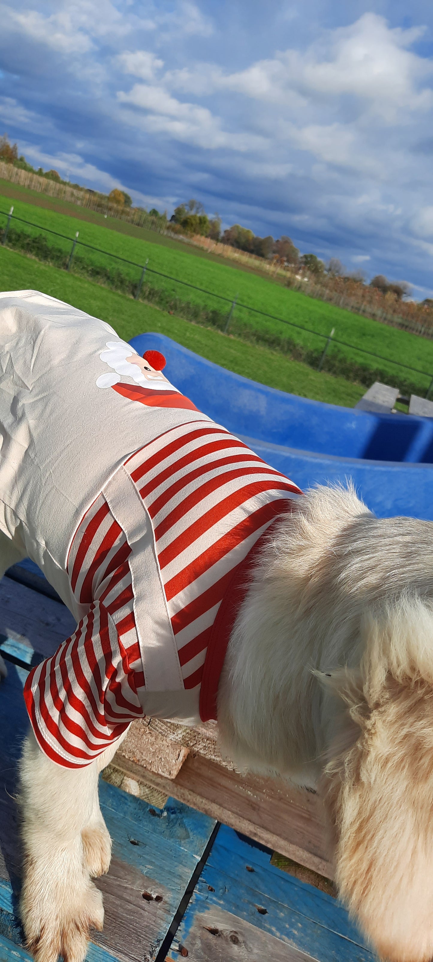 Santa Christmas shirt dog/cat