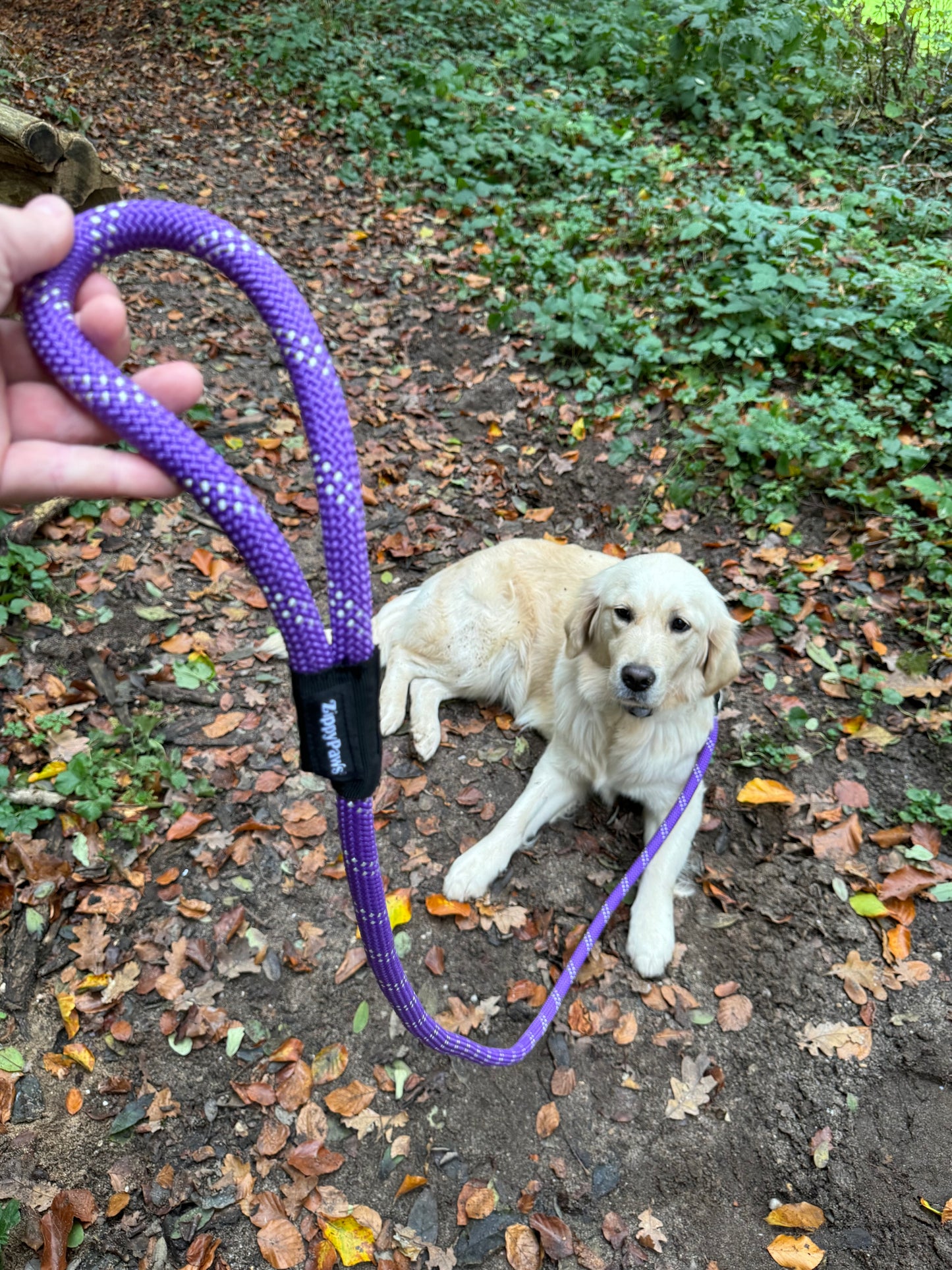 Dog leash climbing rope - Purple