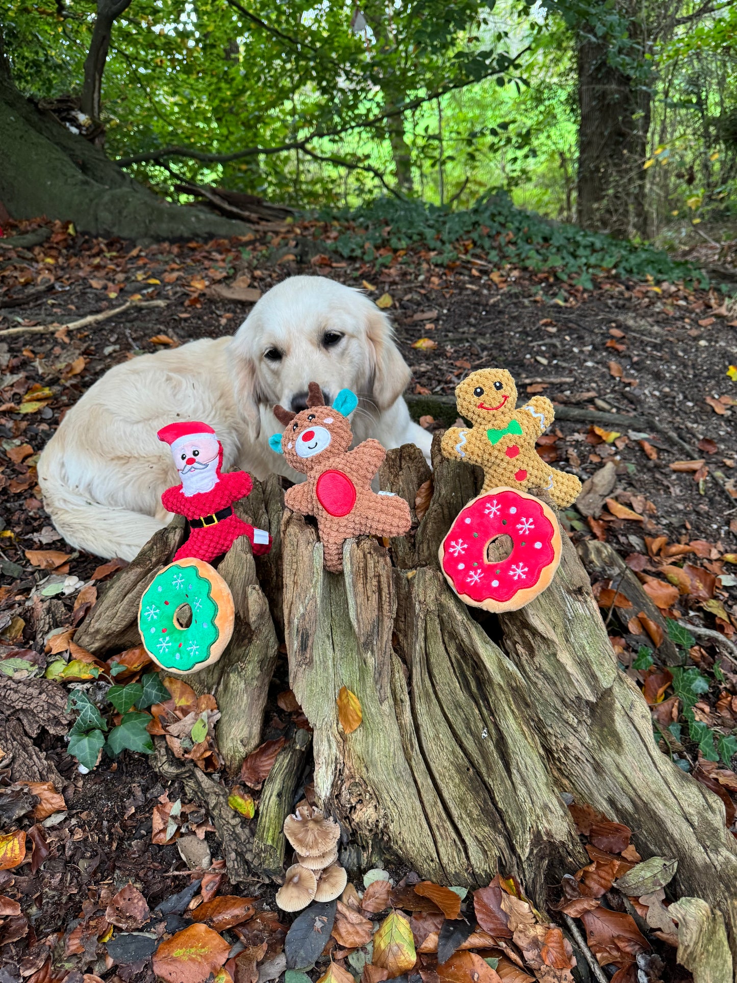 Red Donut dog toy