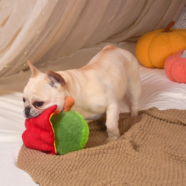 Turkey Avocado dog toy - Fall