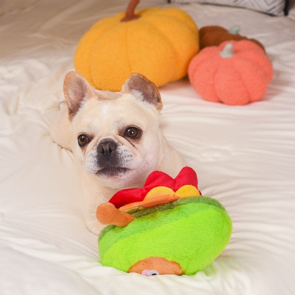 Turkey Avocado dog toy - Fall