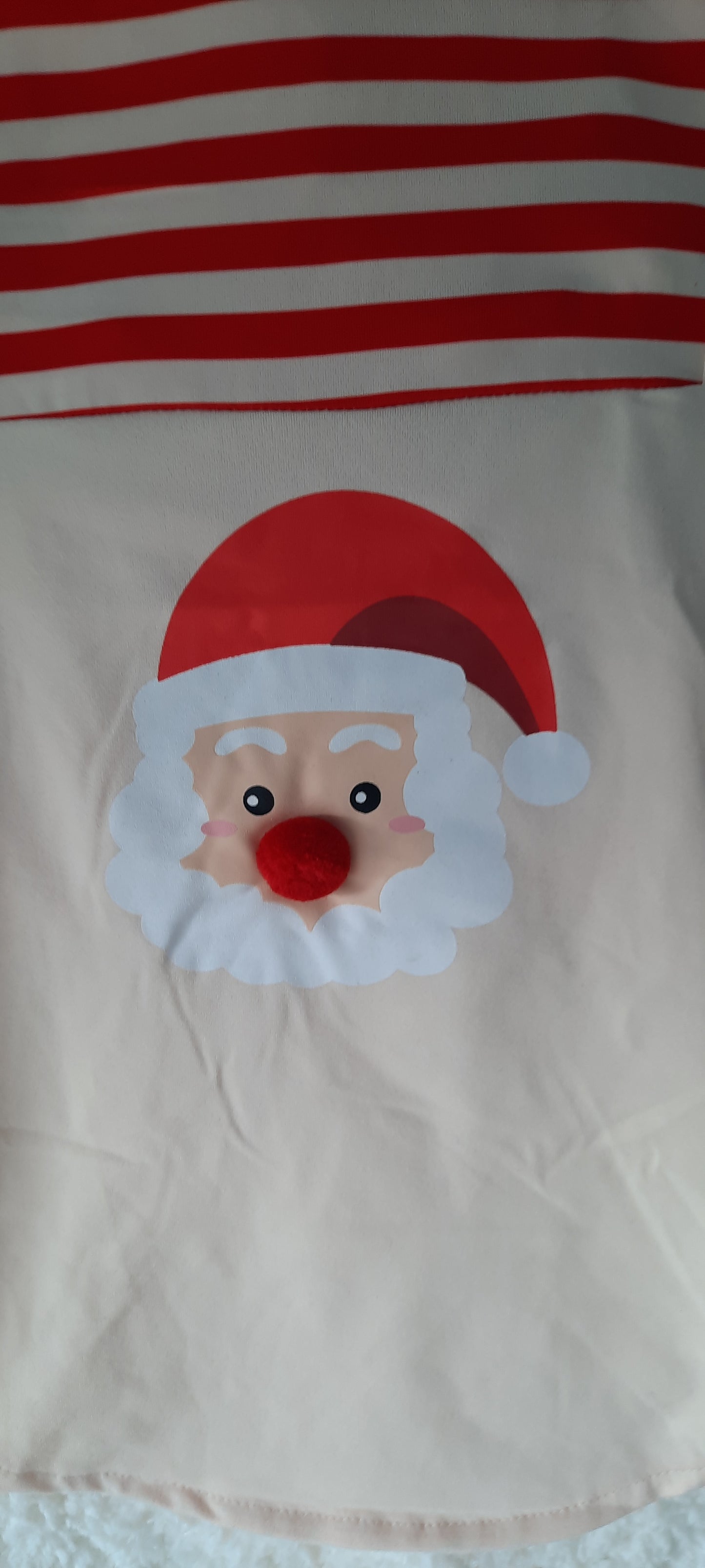 Santa Christmas shirt dog/cat