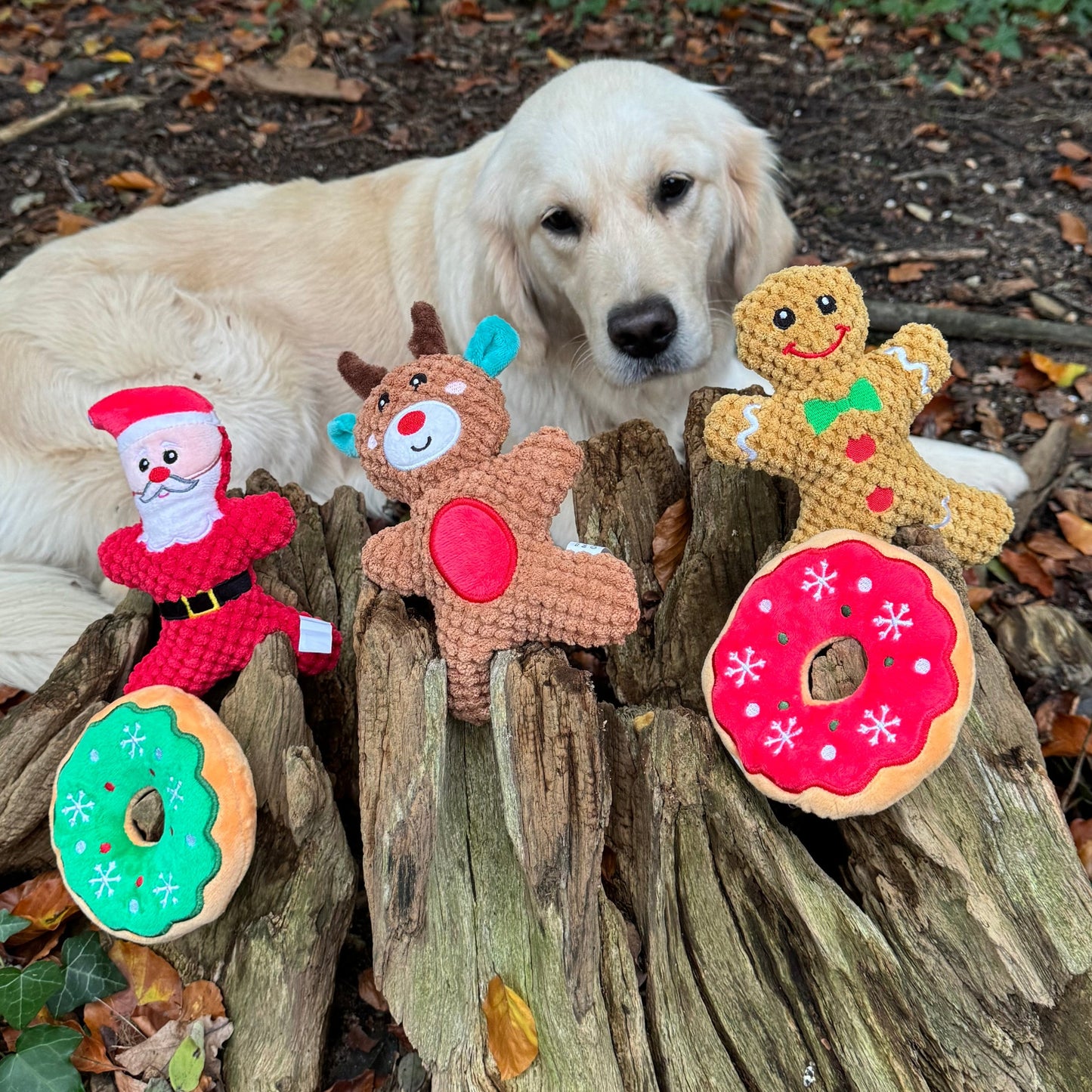 Santa Christmas Dog toy