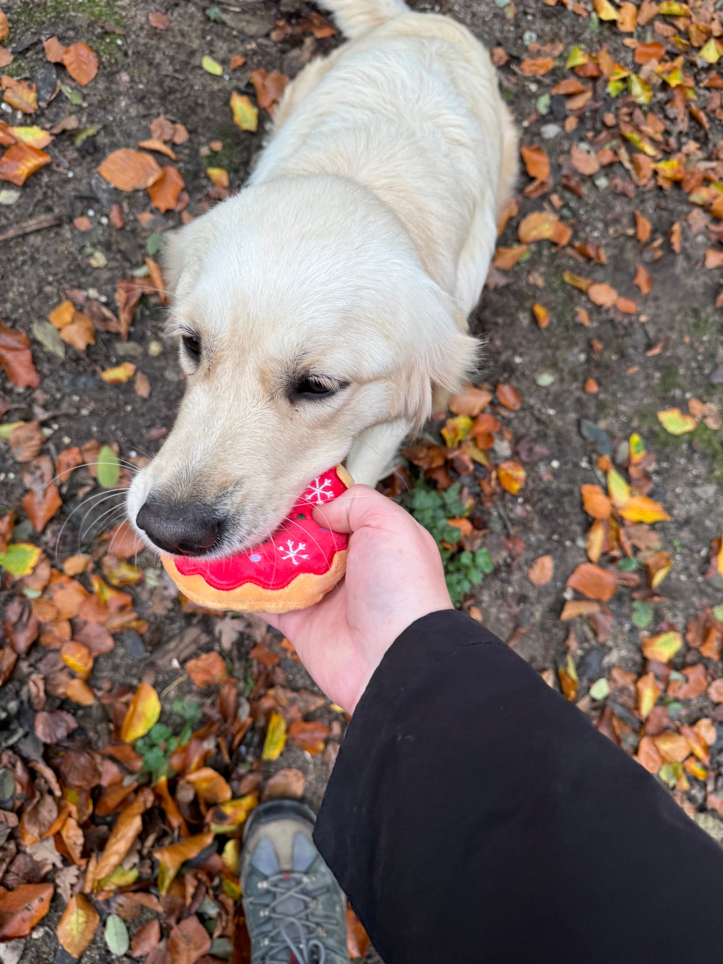 Red Donut dog toy