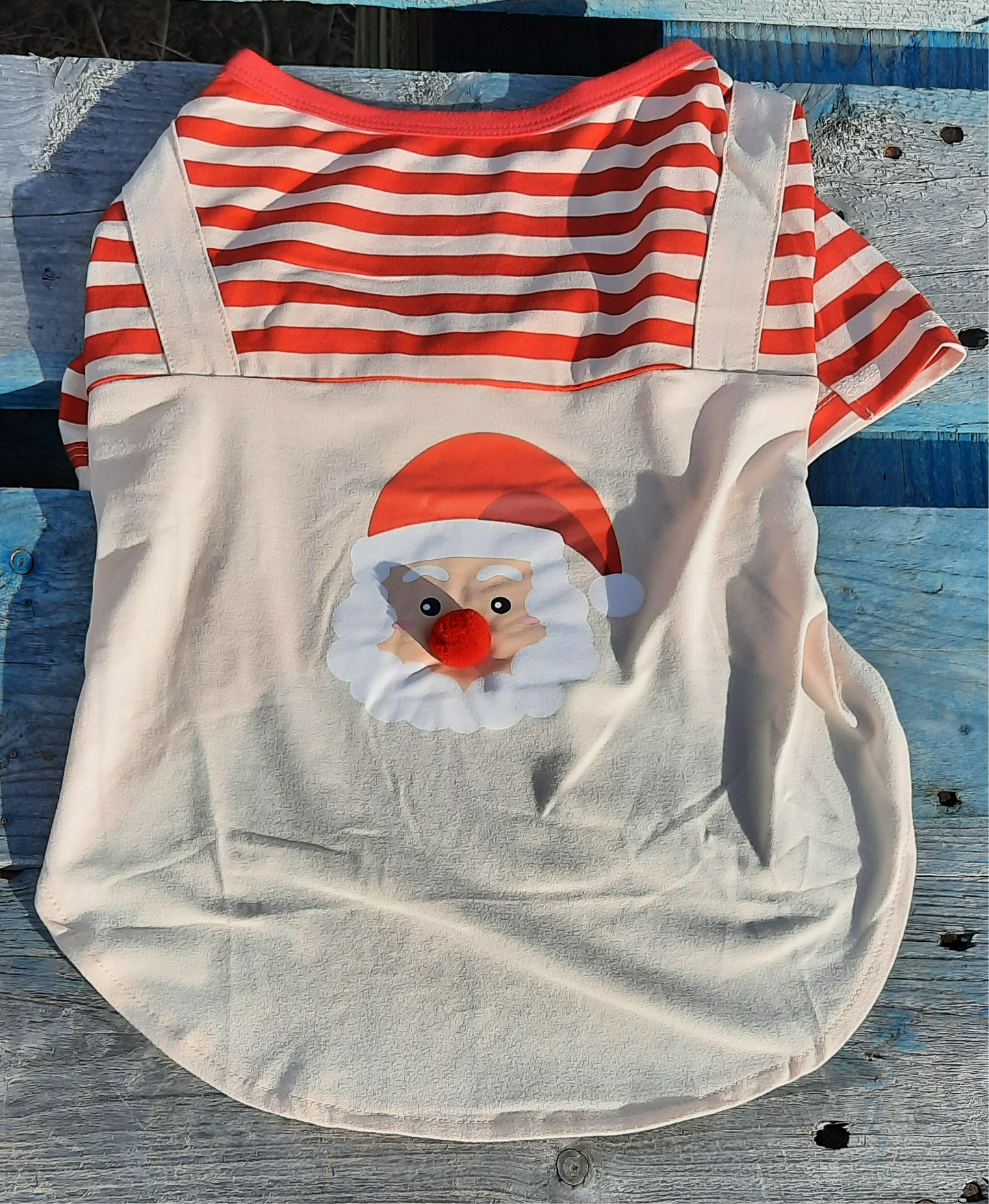 Santa Christmas shirt dog/cat