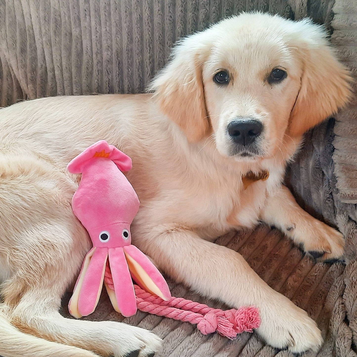 Pink squid dog toy - SALE