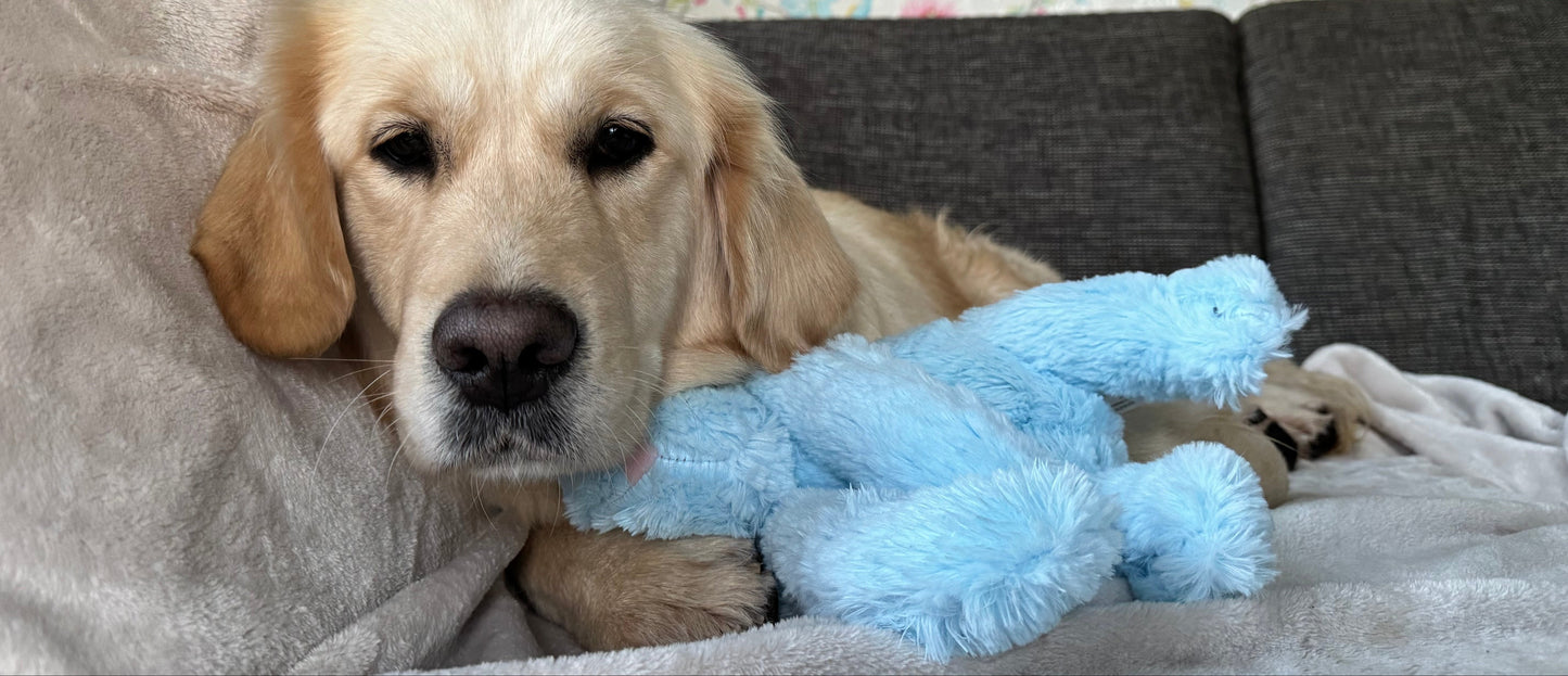 Cozy dog bunny toy - Calming and anti-stress!