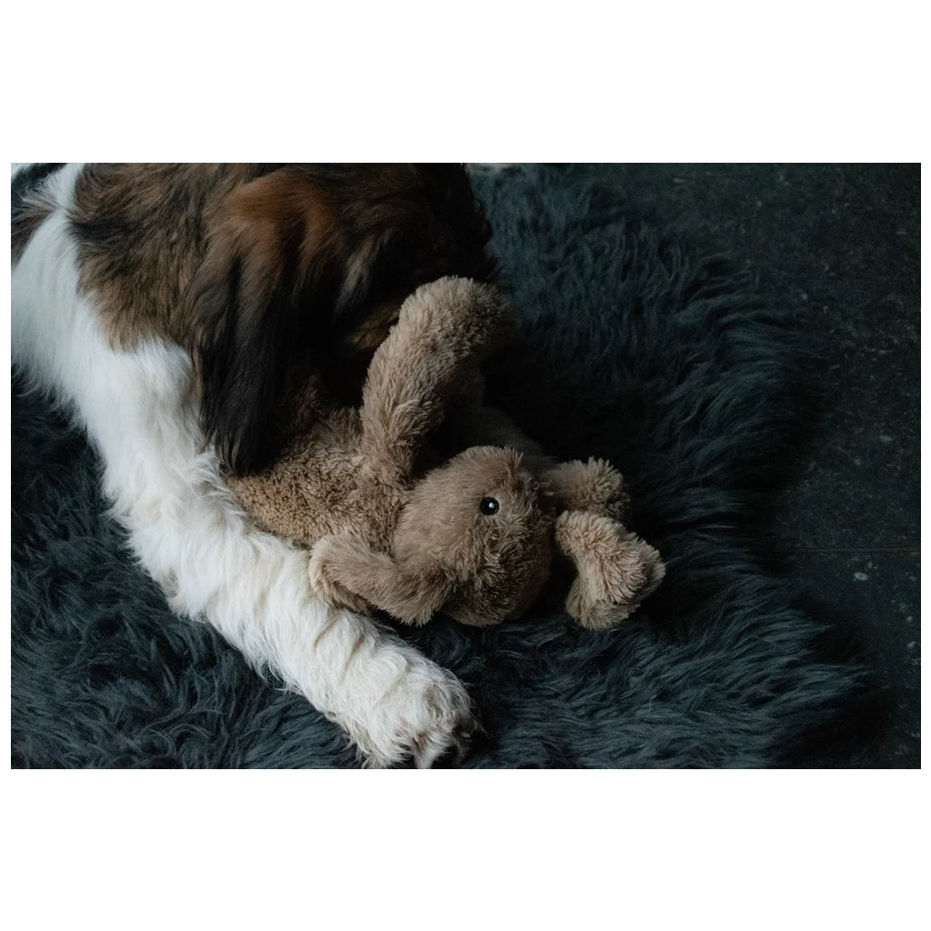 Cozy dog bunny toy - Calming and anti-stress!