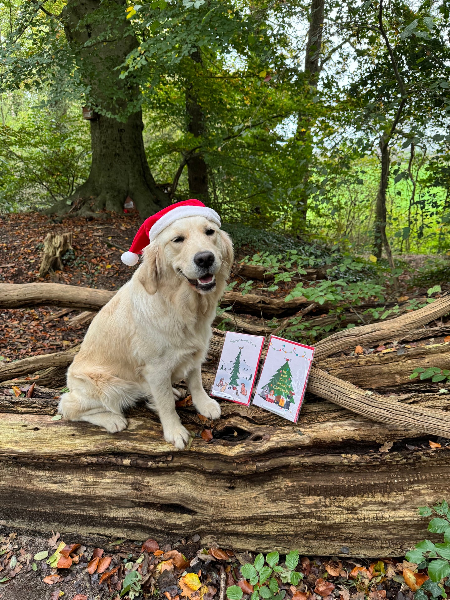 Edible Christmas card