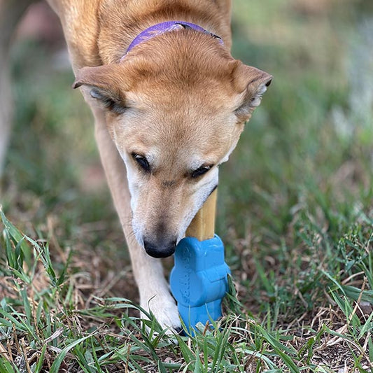 Rubber chew holder